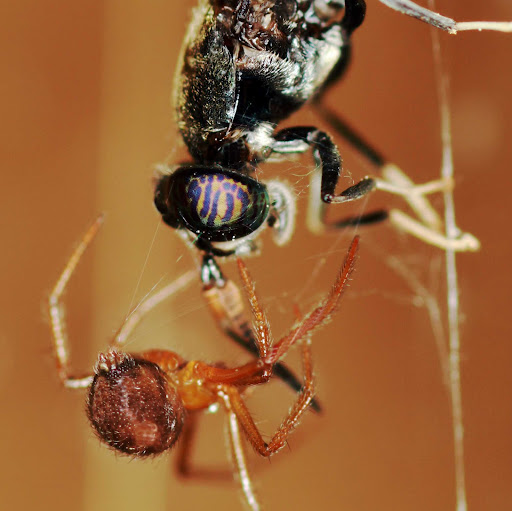 Paul Donaldson Photo 30