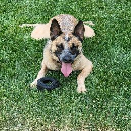 Michelle Mcmanus Photo 35