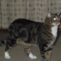 Larry Mooney Photo 23