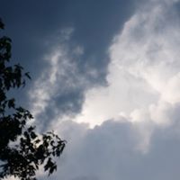 Gloria Forbes Photo 8