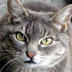 Nancy Sanderson Photo 11