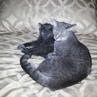 Christine Godbey Photo 2