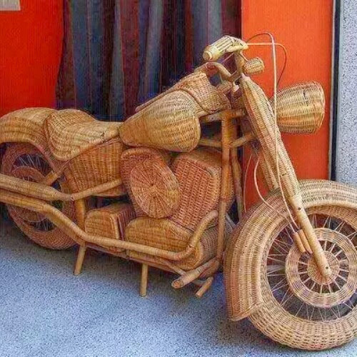 Rajesh Dhiman Photo 21