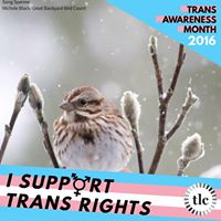 Judith Perkins Photo 28