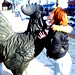 Colleen Murphy Photo 59