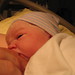 Walter Harper Photo 41