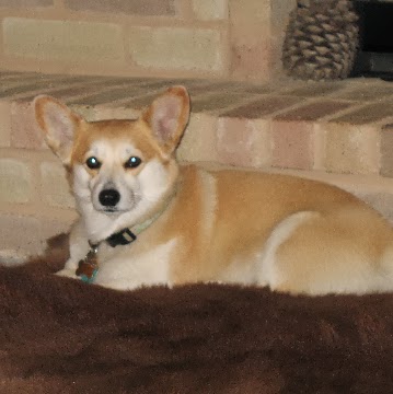 Rachelle Russell Photo 5