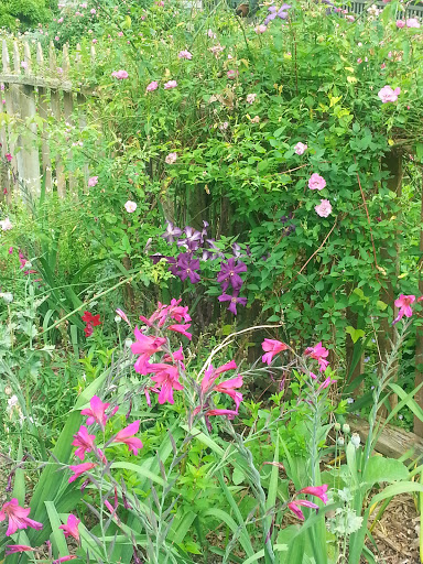 Colleen O'Brien Photo 5