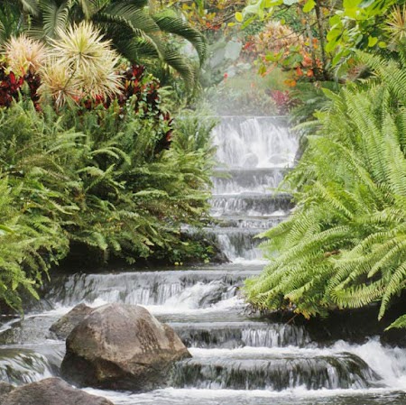 Jeanette Howell Photo 13