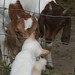 Jeannie May Photo 28