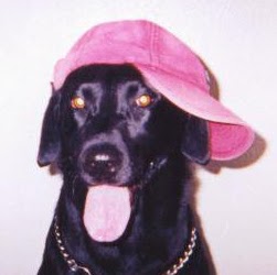 Michael Martinelli Photo 42