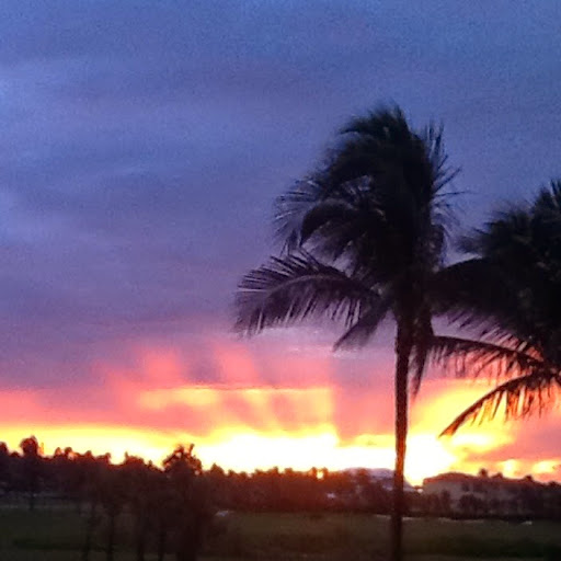 Quintin Johnson Photo 37