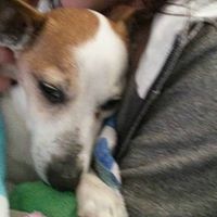 Sarah Mattingly Photo 26