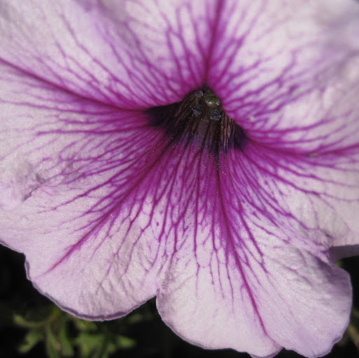 Cassie Long Photo 11