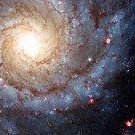 Jeffrey Morgan Photo 41