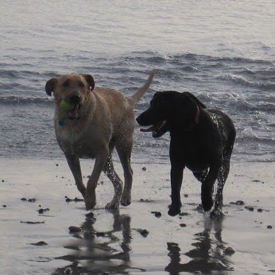 Lj Anderson Photo 19