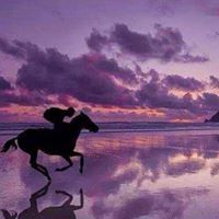 Mark Berry Photo 37 Mark Berry Photo 37