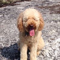 Robyn Riley Photo 21