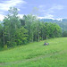 Kathy Childers Photo 14