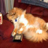 Chester Reid Photo 6