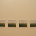 Annette Riddle Photo 24