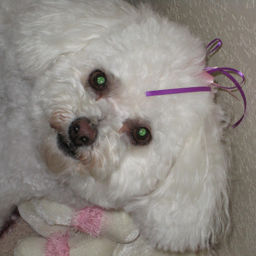 Robbie Robison Photo 16