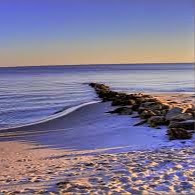 Julie Dickerson Photo 13