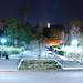 Erica Grove Photo 14