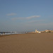 Susan Stephenson Photo 19