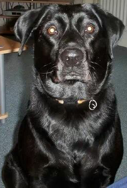 Stephen Hatcher Photo 20