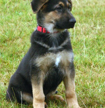 Jim Herbert Photo 42