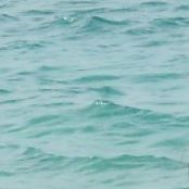 Dennis Cunningham Photo 6