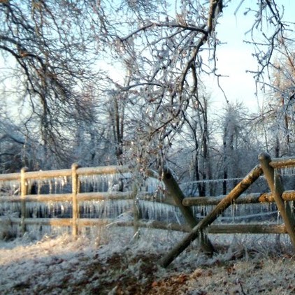 Tina Hopper Photo 18