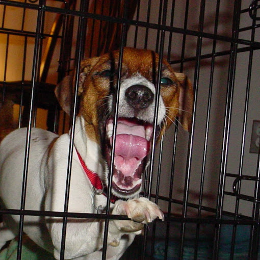 Ron Gilmore Photo 19 Ron Gilmore Photo 19