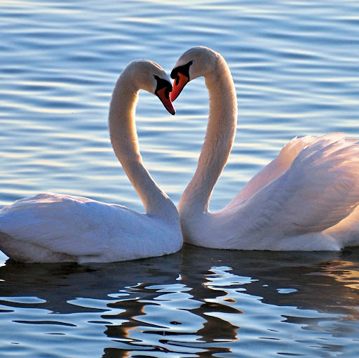 Amy Copeland Photo 30