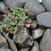 Robin Klein Photo 23