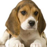 May Jenkins Photo 13