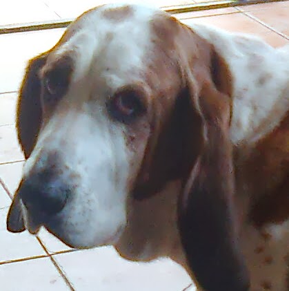 Barry Reed Photo 18 Barry Reed Photo 18