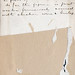 Kathleen Taft Photo 16