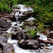 Shannon Creek Photo 10