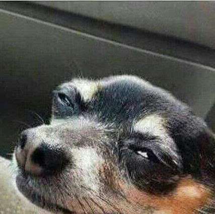 Marcus Potter Photo 2