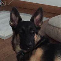 Vicki Winkle Photo 17