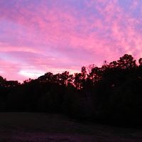 Carter Fleming Photo 2