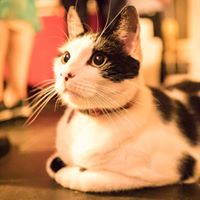 Meredith Klein Photo 8