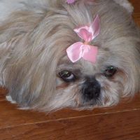 Nancy Propst Photo 18