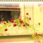 Mary Groves Photo 23