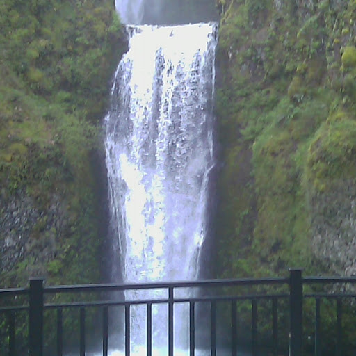 Carol Russell Photo 10 Carol Russell Photo 10