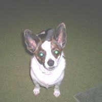 Patricia Mccain Photo 17