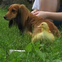 Susan Ruggles Photo 13