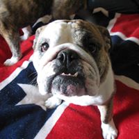 Danny Basham Photo 18